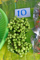 Bunch of Pea Egplant