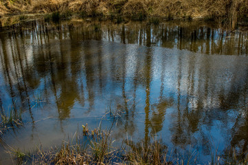 Beautiful lake. Trees are reflected in the water. Lake in a beautiful forest. Background.