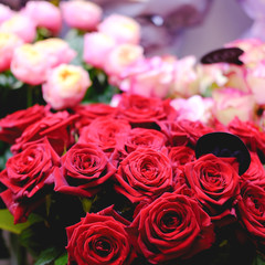 a variety of flowers.Bouquet . close up.