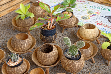 Coconut fruits handcraft