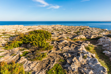 rocky soil in the area of Ayia Napa, Cyprus