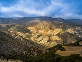 Obraz premium Dramatic landscape with endless olive gardens near Granada in Spain