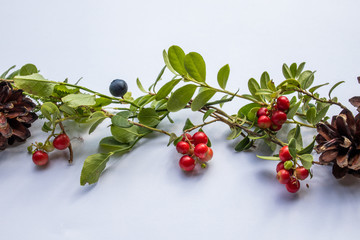 decoration of berries and cones