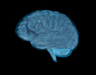 Low poly brain with barrier wireframe on black BG