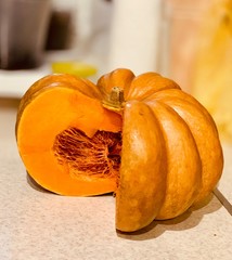 pumpkin on white background