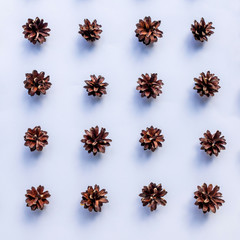 pine cones paterns