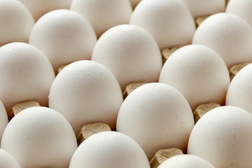 Chicken eggs in the cell egg tray. Top view, background