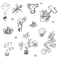 Vector set of black outline cute blooming cacti  and house plants and flowers for interior decoration flat icons collection . Doodle ,hand drawn ,sketch vector illustration.