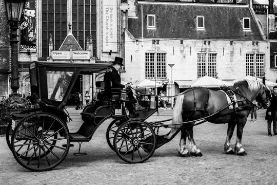 coche de caballos 