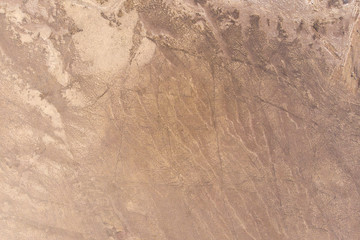 steppe landscape with haze from the lake from the top view