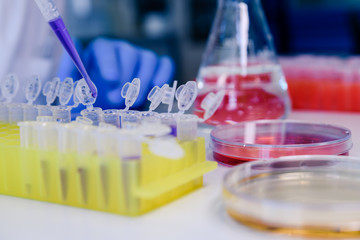 Scientist working with a pipette and a flask, in plastic tubes for DNA studies. Concept of science, laboratory and study of diseases. Coronavirus (COVID-19) treatment developing.