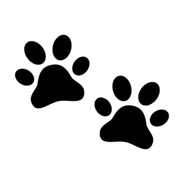 Animal icon flat vector. Black print paw traces, footprint illustration isolated on white