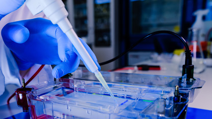 Protein separation on gels in a Electrophoresis chambers. Concept of science, laboratory and study...