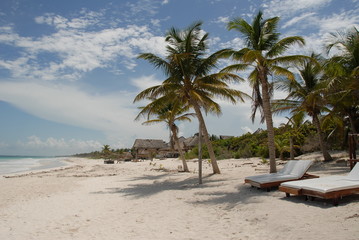 Obraz na płótnie Canvas Palm on sand beach in mexico tropical white
