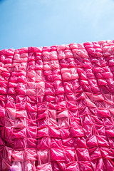 Fototapeta premium Plastica rosa