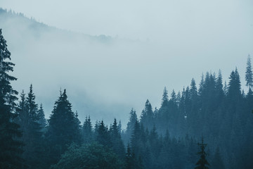Misty mountain landscape