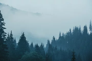 Photo sur Plexiglas Forêt dans le brouillard Paysage de montagne brumeux