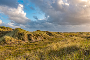 Dune landscape on the beach of St Peter-Ording