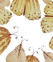 moth and butterfly watercolor frame