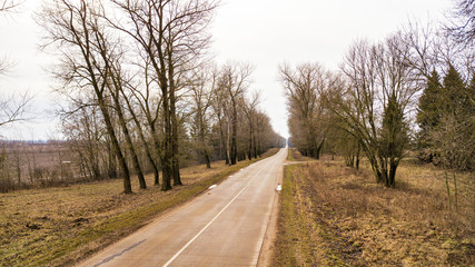Road in alley of dry trees without leaves in early spring