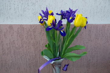 Against the background of a pink plastered wall, a bouquet of beautiful fresh flowers: yellow tulips and blue irises.
