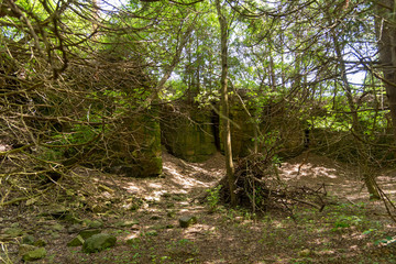 The Niagara Escarpment, Univ. of WI, Green Bay, Cofrom Arboretum, Green Bay, WI