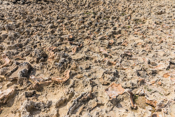 rocky soil in the area of Ayia Napa, Cyprus
