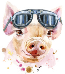Watercolor portrait of mini pig in biker glasses