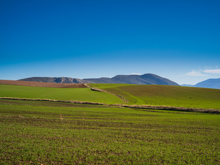 Fototapeta na wymiar Beautiful landscape with green fields and mountains in Andalusia, Spain