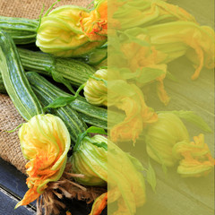 Concetto di cibo vegetale. Zucchini freschi con i fiori sulla tavola di legno. Vista dall'alto. Copy space a colori semitrasparente.