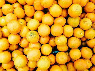 Organic and fresh oranges on fruit market. Boxes full of ripe oranges for sale on farmers market. Fresh fruit display in shop. Juicy oranges at the greengrocer's stall.