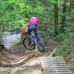 Flugshow mit dem Mountainbike im Wald