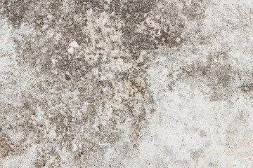Abstract background of bare cement Old grungy cement floor background for texture design
