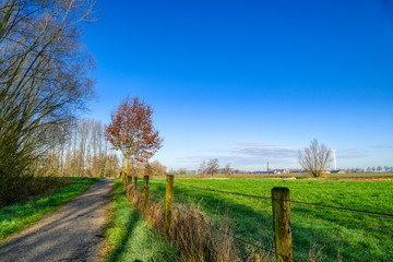 Wanderweg, Wiese und Zaun im Reeser Meer