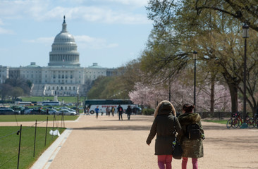 2 women walk along the National Mall towards the Capitol building.