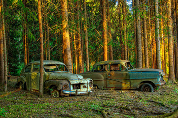2 abandoned old rusty cars in the forest