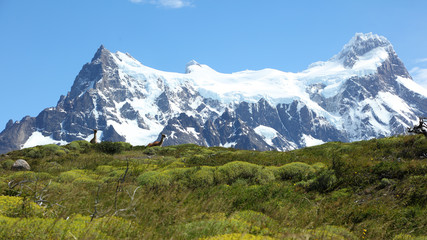 Mirador Salto Grande, Lago Nordernskjöld, Parque Nacional Torres del Paine, Patagonia, Chile