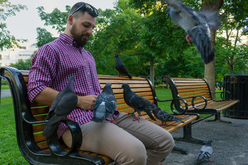 pigeons sit on the man laps in the park