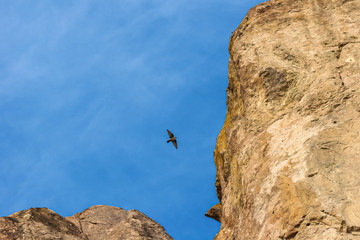 Allphotokz Tamgaly Tas 20050515 5233 20D S