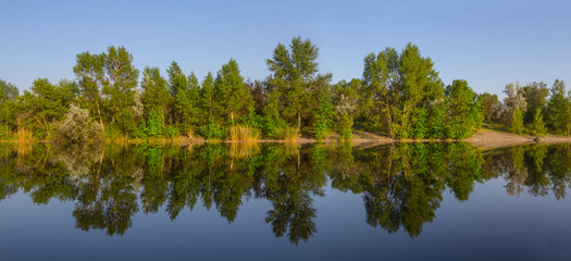 quiet summer river with forest on a coast, outdoor panoramic scene