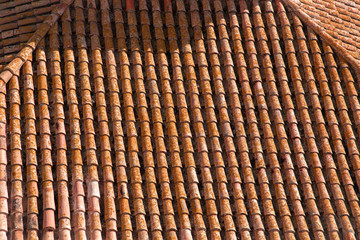 red tile roof on a fishing house