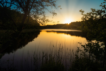 Fototapeta na wymiar See mit gräsern und bäumen im sonnenuntergang