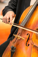 string musical instrument, viola - large violin, close up. Vertical frame
