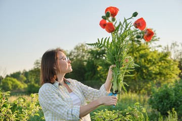 Woman gardener cutting red flowers poppies with garden secateurs