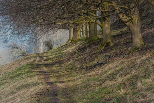 M&auml;rchenhafte Stimmung Feldweg mit Sitzbank unter Allee mit kahlen B&auml;umen in Neckartenzlingen am  Naturschutzgebiet Sch&ouml;nrain