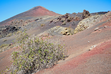 Wanderung durch den Naturpark Los Volcanes um die Vulkane Caldera de La Rilla, Montana de Santa Catalina, Pico Partido, Montana del Senalo auf der spanischen Kanareninsel Lanzarote © Rolf Dräger