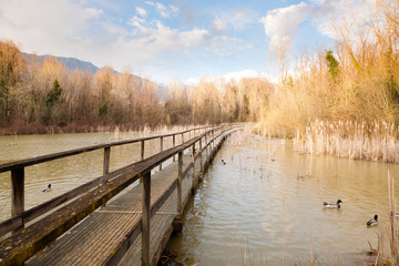 Old wood footbridge on lagoon, rural landscape