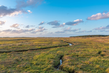 Landscape with salt marshes in St Peter-Ording