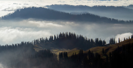 Silhoutte of mountains, trees, mist, clouds, dreamy, forests, trees, 