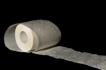 Precious toilet paper in these days